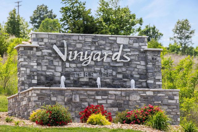 2904 Vineyards Parkway 1, Branson, MO 65616