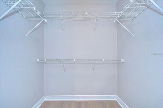 18163 BRIDLE CLUB DRIVE 18163, Tampa, FL 33647