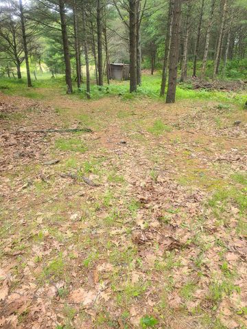 3227 N Us-23 N, Oscoda, MI 48750