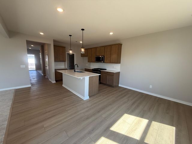 15024 Athenry Bay, Rosemount, MN 55068