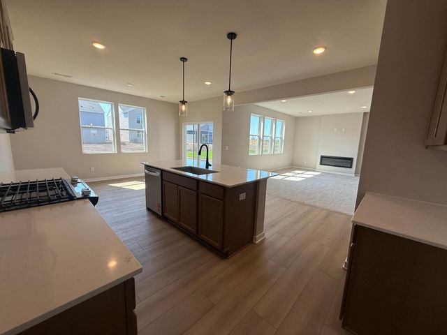 15024 Athenry Bay, Rosemount, MN 55068