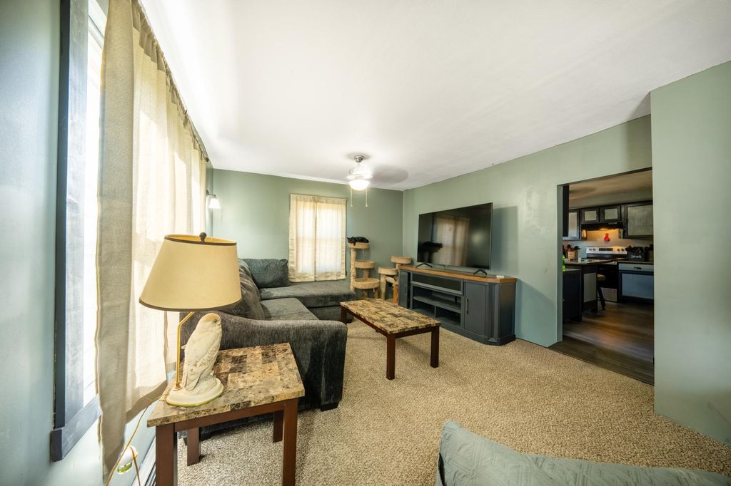 610 N 4th Street, Le Sueur, MN 56058 — photo 5