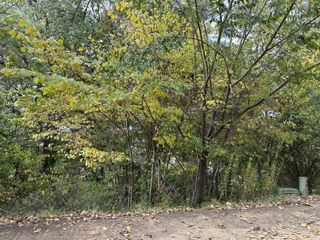 1484 Becky Drive, Johnson City, TN 37601