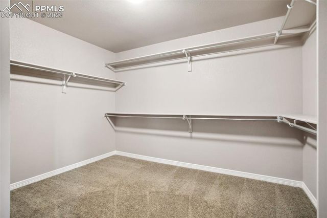 7118 Dutch Loop, Colorado Springs, CO 80925