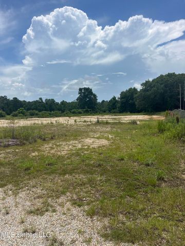 52 Scogin Lane, Carriere, MS 39426