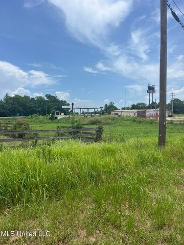 52 Scogin Lane, Carriere, MS 39426