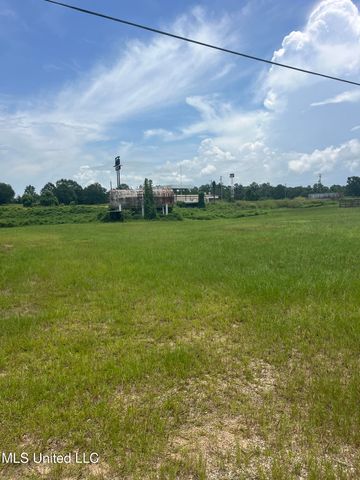52 Scogin Lane, Carriere, MS 39426