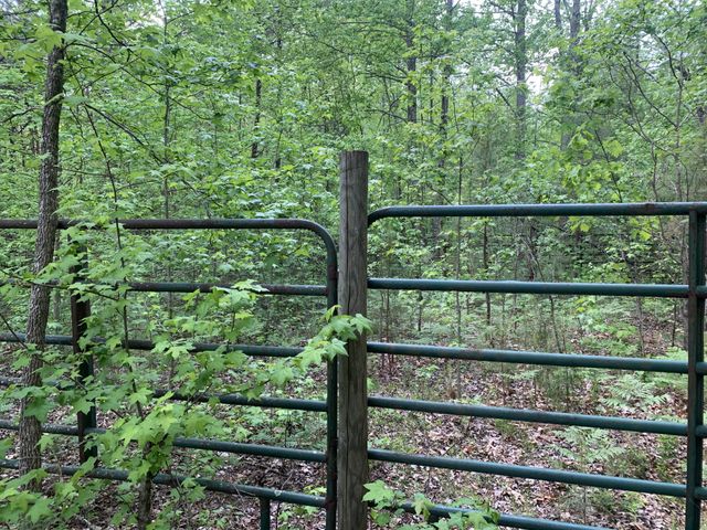 210 Double Check Ln, Belvidere, TN 37306