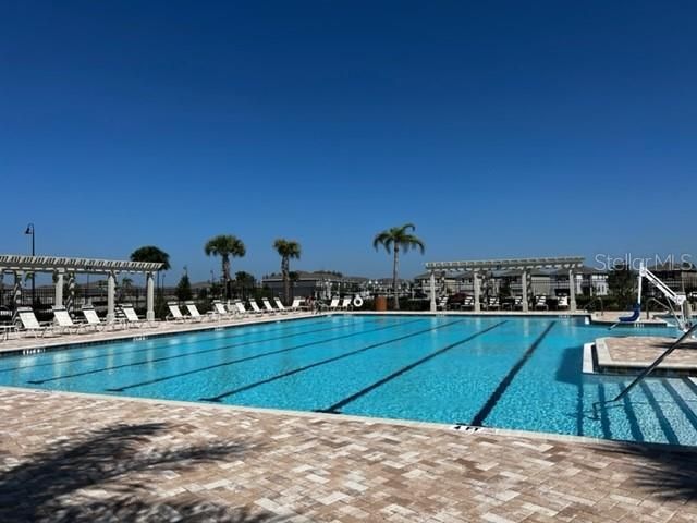 3260 TUCSON WIND PLACE, Odessa, FL 33556