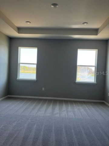 3260 TUCSON WIND PLACE, Odessa, FL 33556