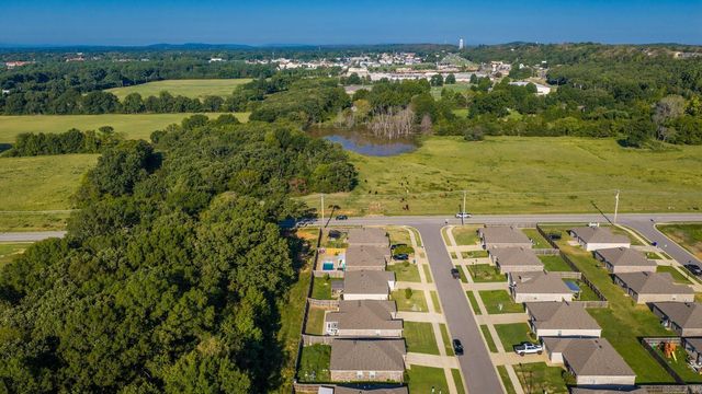 1035 Okeefe Avenue, Conway, AR 72032