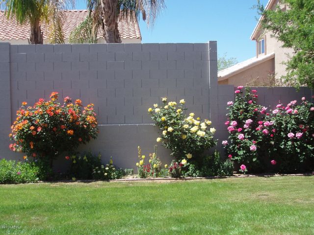 16022 N 17th Place, Phoenix, AZ 85022