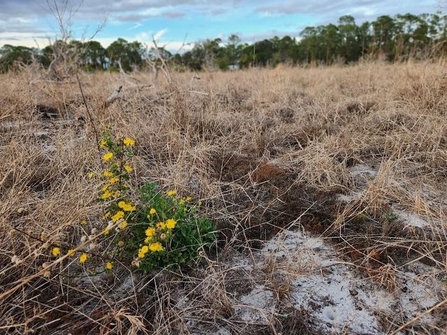 W FROSTPROOF ROAD Lot 12, Frostproof, FL 33843