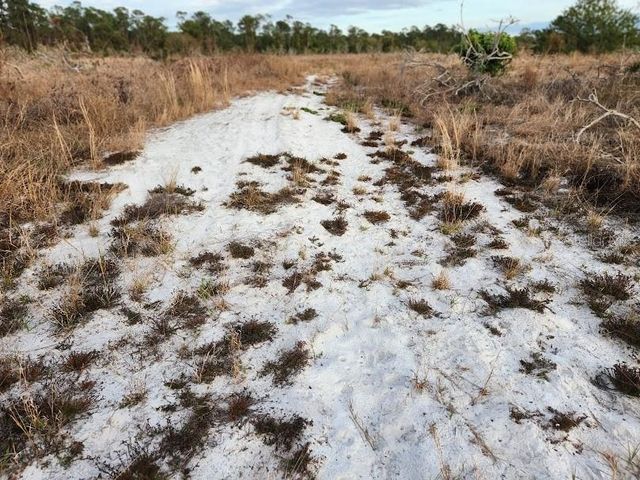 W FROSTPROOF ROAD Lot 12, Frostproof, FL 33843
