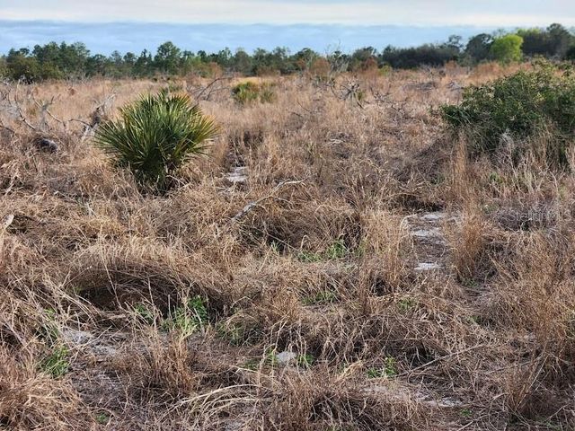 W FROSTPROOF ROAD Lot 12, Frostproof, FL 33843