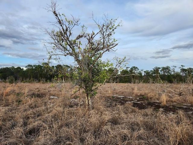 W FROSTPROOF ROAD Lot 12, Frostproof, FL 33843