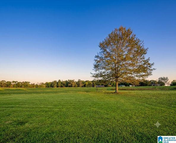 264 JERRY MARSH ROAD, Cleveland, AL 35049