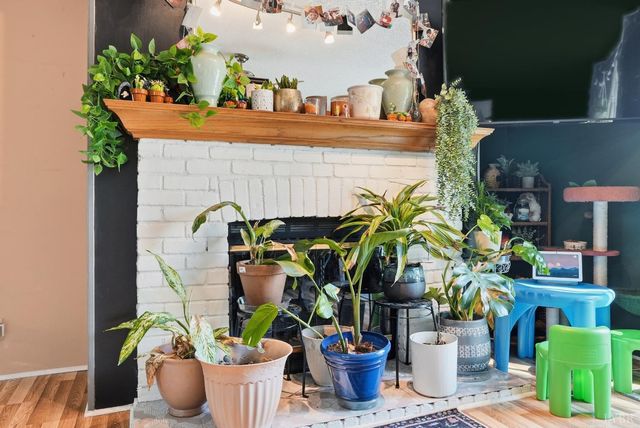 174 Shelter Lane, Amherst, VA 24521