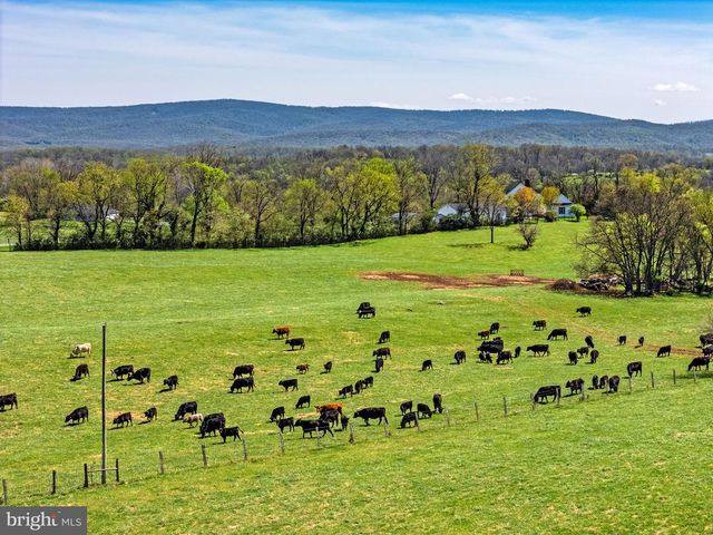 294 MILTON VALLEY LANE, Berryville, VA 22611