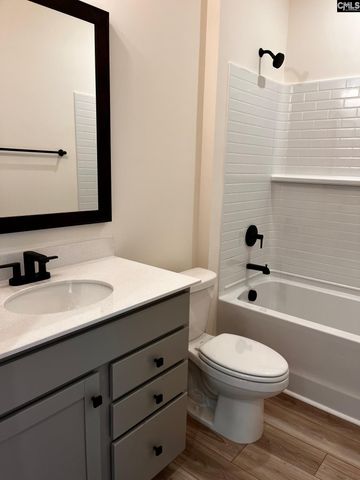 3006 Hanging Valley Road, Blythewood, SC 29016