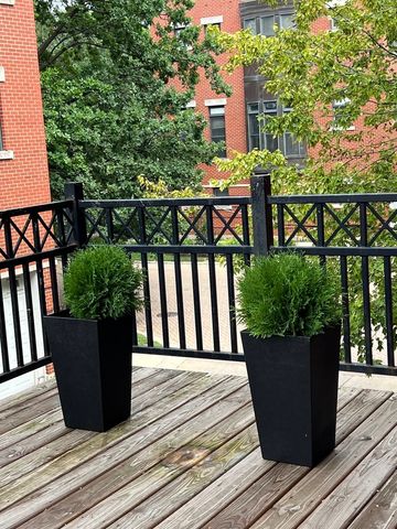 834 W Village Court, Chicago, IL 60608