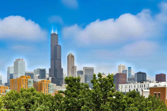 834 W Village Court, Chicago, IL 60608