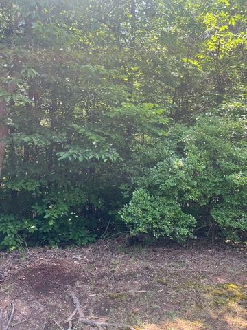 0 Point Road, Westminster, SC 29693