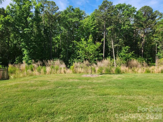 3849 Horsham Street, Indian Land, SC 29707
