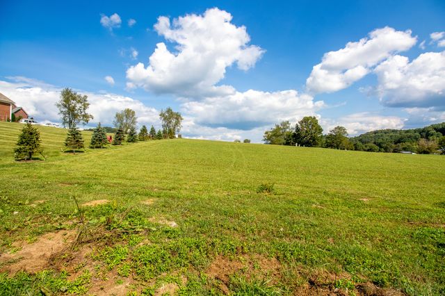 Lot 42 Walnut Grove Drive, Church Hill, TN 37642