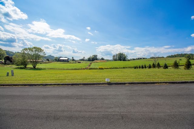 Lot 42 Walnut Grove Drive, Church Hill, TN 37642