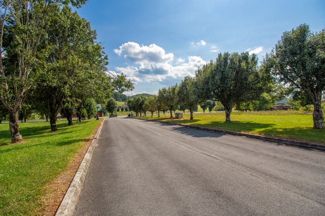 Lot 42 Walnut Grove Drive, Church Hill, TN 37642