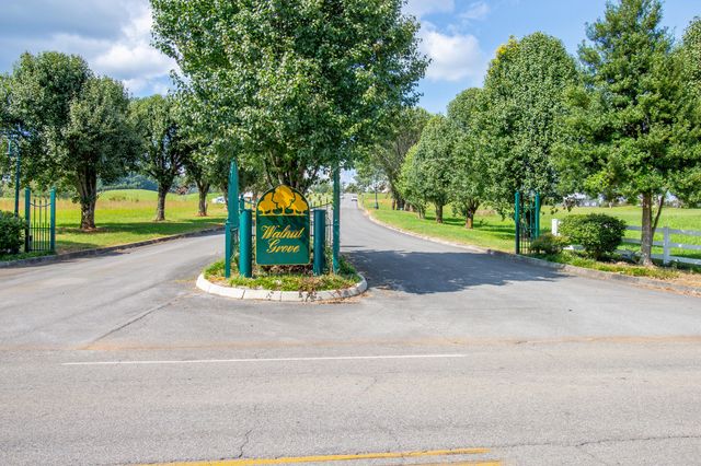 Lot 42 Walnut Grove Drive, Church Hill, TN 37642