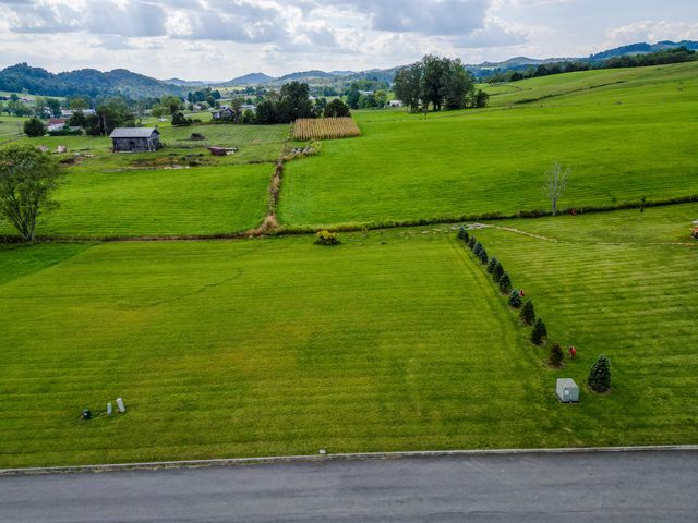 Lot 42 Walnut Grove Drive, Church Hill, TN 37642