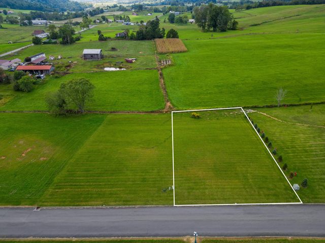 Lot 42 Walnut Grove Drive, Church Hill, TN 37642