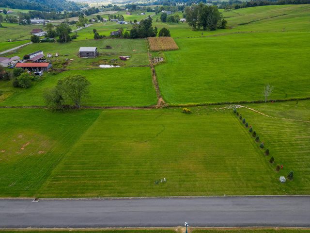 Lot 42 Walnut Grove Drive, Church Hill, TN 37642