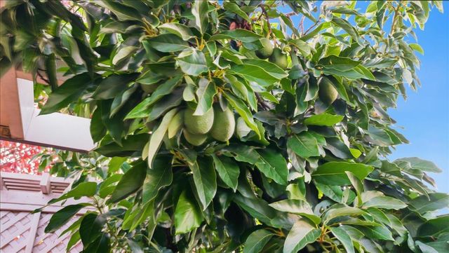 3014 Great Egret Way, Sacramento, CA 95834