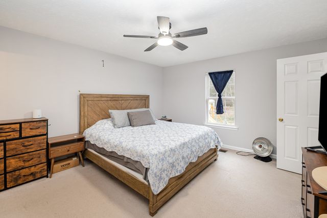 127 Mallow Dr, Christiana, TN 37037