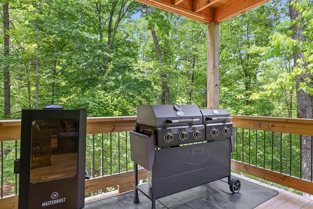 92 Windy Valley Lane, Blue Ridge, GA 30513