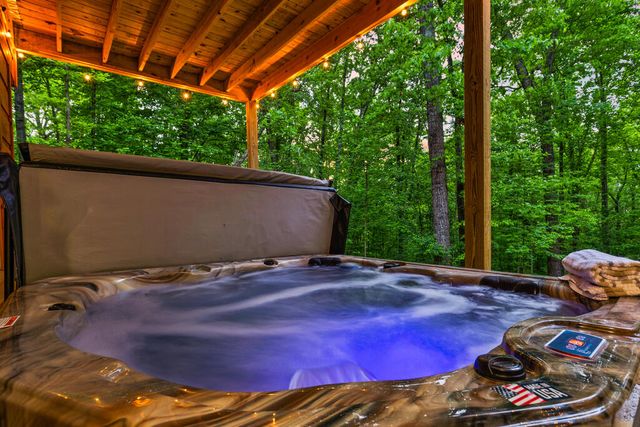 92 Windy Valley Lane, Blue Ridge, GA 30513