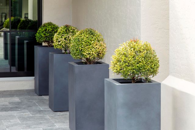 2555 NW 59th Street, Boca Raton, FL 33496