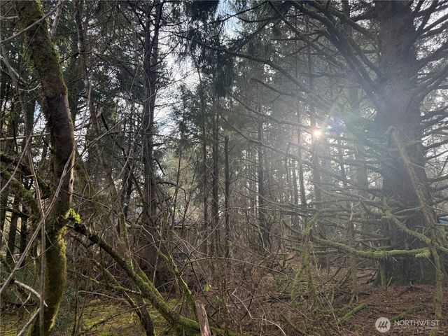 142 XXX 142nd Lane, Long Beach, WA 98631