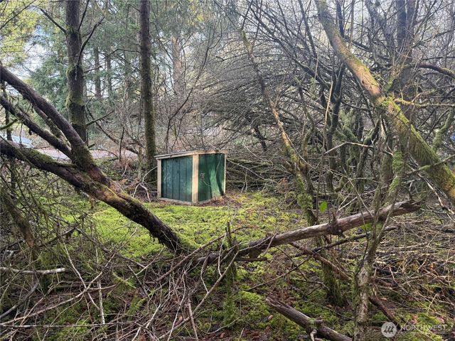 142 XXX 142nd Lane, Long Beach, WA 98631