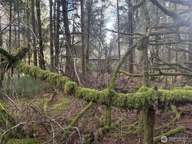 142 XXX 142nd Lane, Long Beach, WA 98631