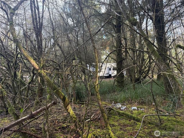 142 XXX 142nd Lane, Long Beach, WA 98631