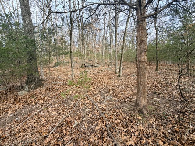 812 Rockwood Road, Pineville, MO 64856