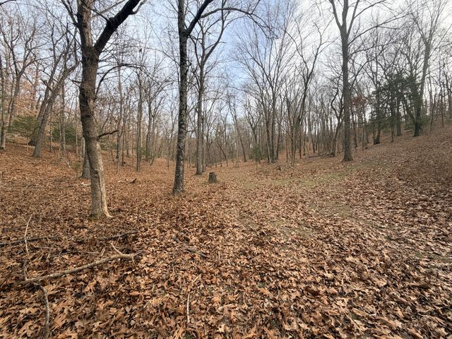812 Rockwood Road, Pineville, MO 64856