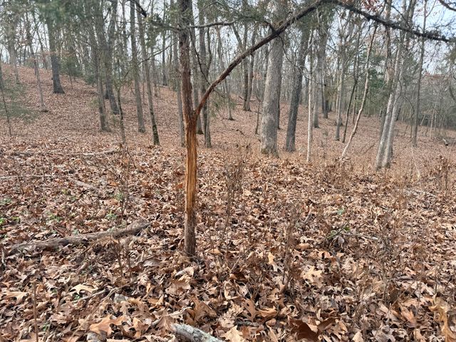 812 Rockwood Road, Pineville, MO 64856