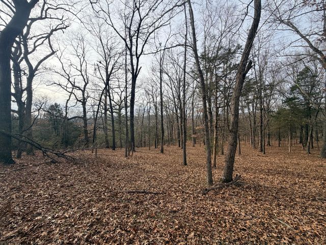 812 Rockwood Road, Pineville, MO 64856