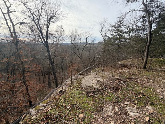 812 Rockwood Road, Pineville, MO 64856
