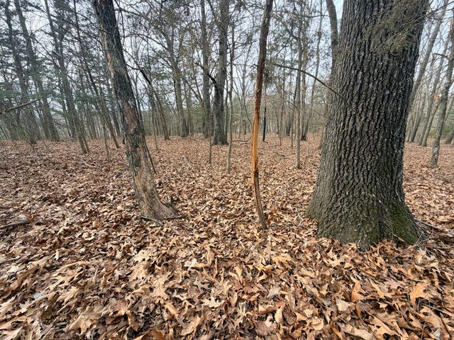 812 Rockwood Road, Pineville, MO 64856